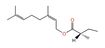 (S)-(Z)-3,7-Dimethyl-2,6-octadienyl 2-methylbutanoate